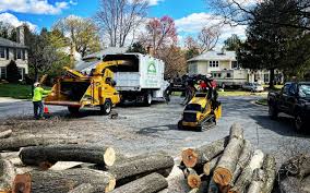 Lawn Pest Prevention in Crossville, AL